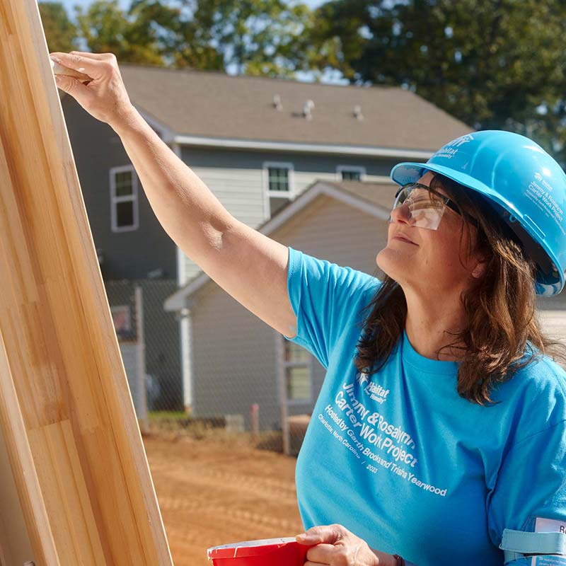 volunteer painting